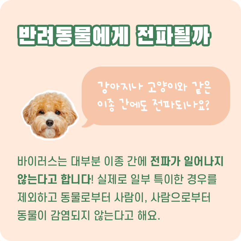 우한폐렴_06.png