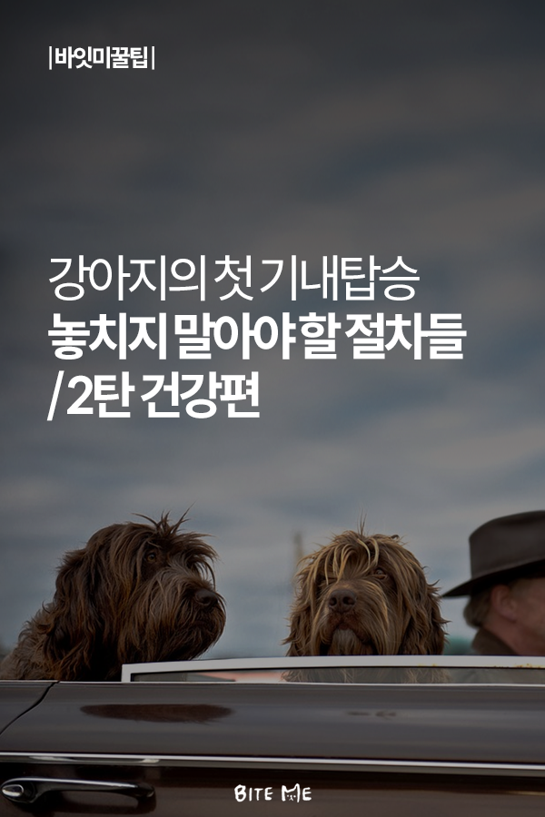 Artboard 1 copy 6.png