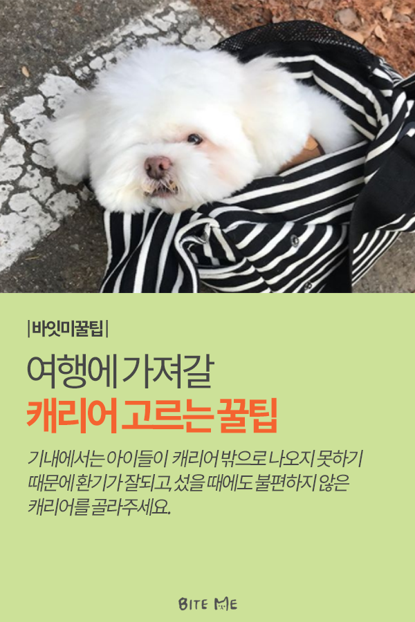 Artboard 1 copy 3.png