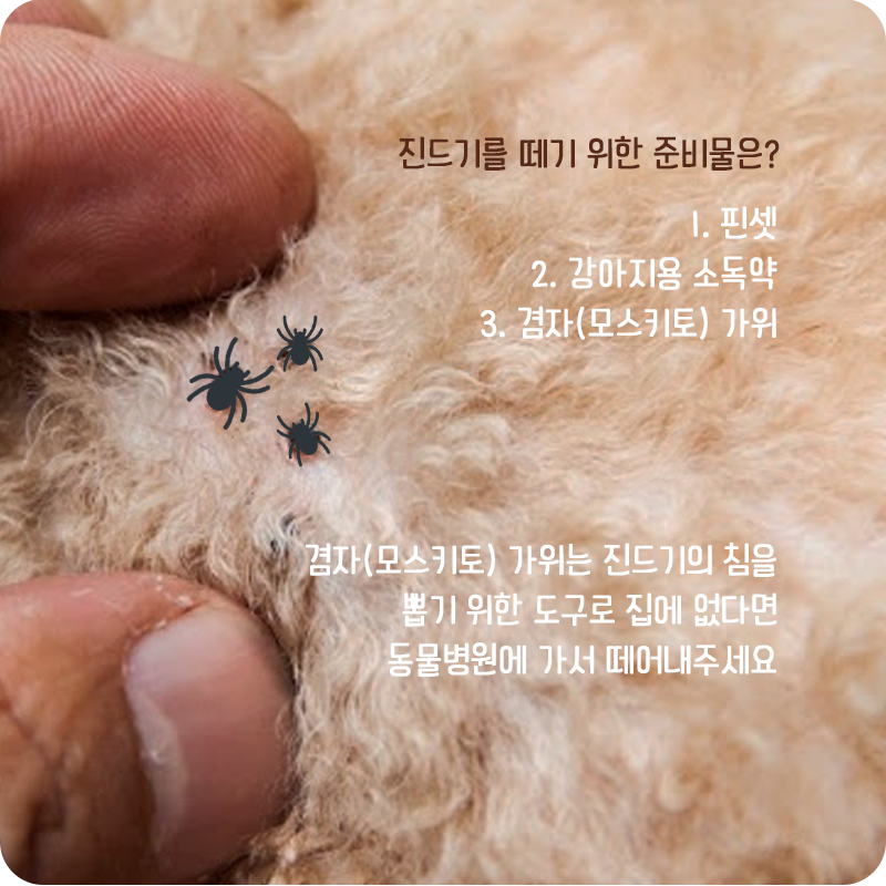 진드기_05.png