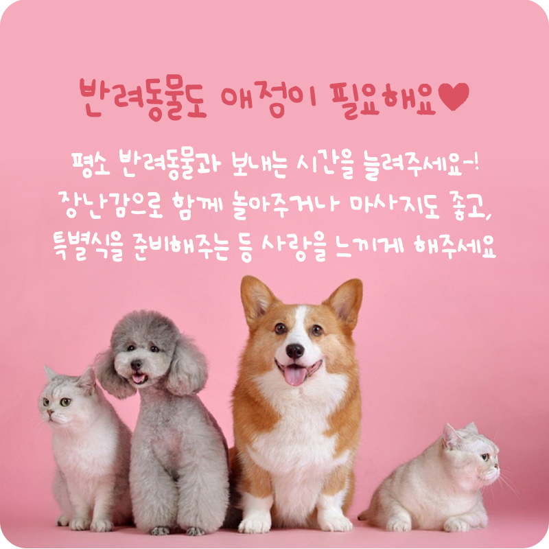 질투우울_05.png