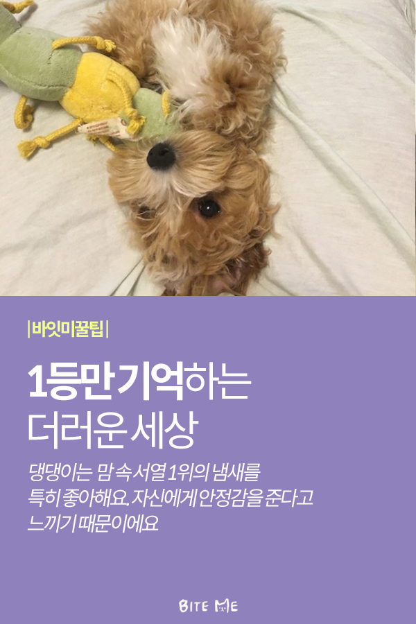 Artboard 1 copy 3.png