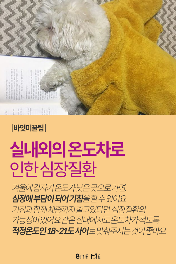 Artboard 1 copy 2.png