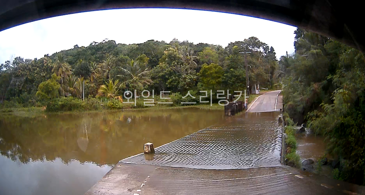 13.42 물 다리.(전방 카메라).mp4_000112828.png