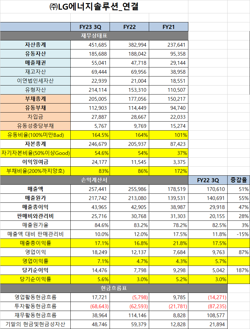 LG에너지솔루션 재무제표.png