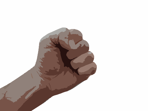 fist-295159_1920.png