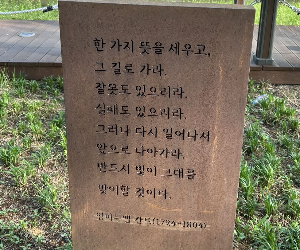 91371714030892_.pic copy.png