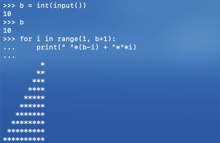 별찍기 캡쳐3.png