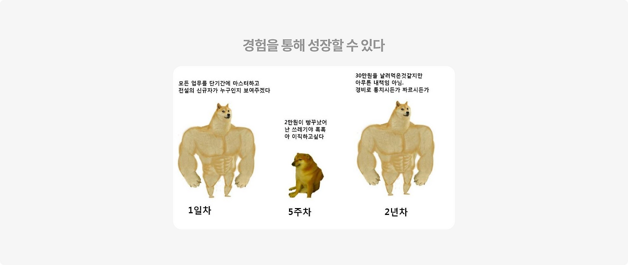 경험과 성장.png