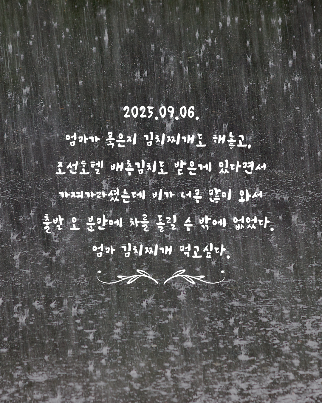 2025.09.06. 엄마가 묵은지 김치찌개도 해놓고, 조선호텔 배추김치도 받은게 있다면서 가져가라셨는데 비가 너무 많이 와서 집앞에서 차를 돌릴 수 밖에 없었다. 엄마 김치찌개 먹고싶다..png
