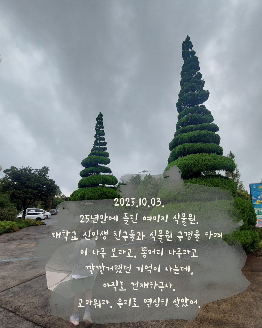 2025.10.03. 25년만에 들린 여미지 식물원. 대학교 신입생 친구들과 식물원 구경을 하며 이 나무 보라고, 똥머리 나무라고 깔깔거렸던 기억이 나는데, 아직도 건재하구나. 고마워라. 우리도 열심히 살았어..png