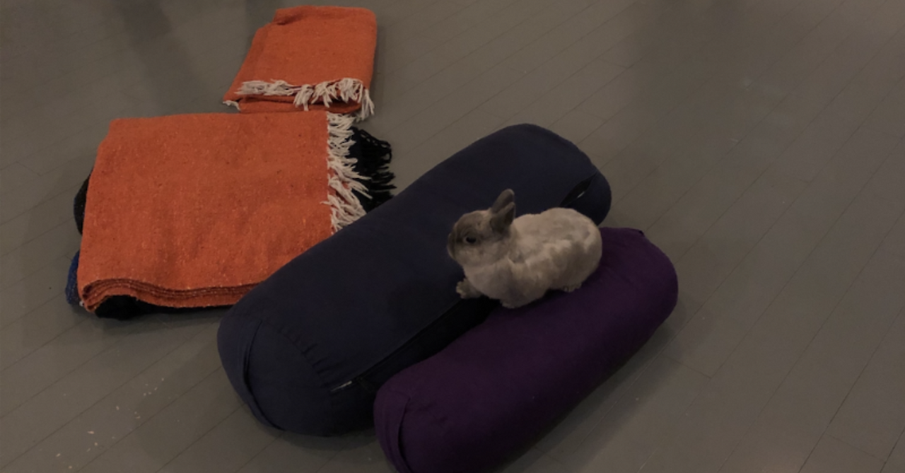 Screenshot 2024-08-30 at 15.30.09.png