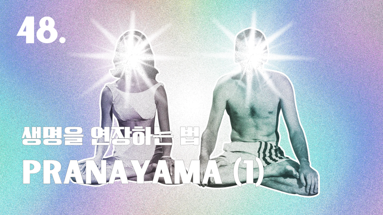 Thumbnails 2025 (10).png