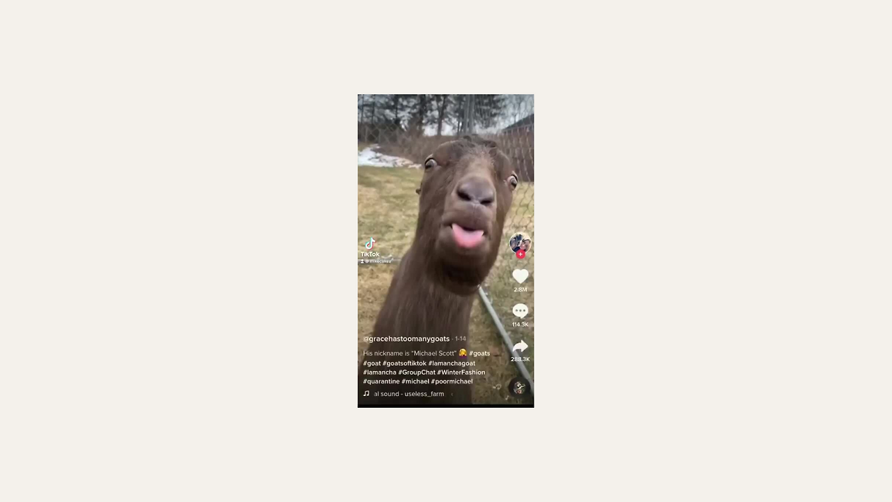 Blog - Beige Background 11 (1920 × 1080px).png