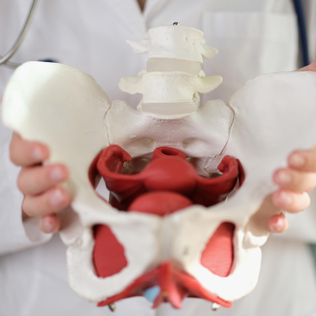 제목 없는 디자인.png