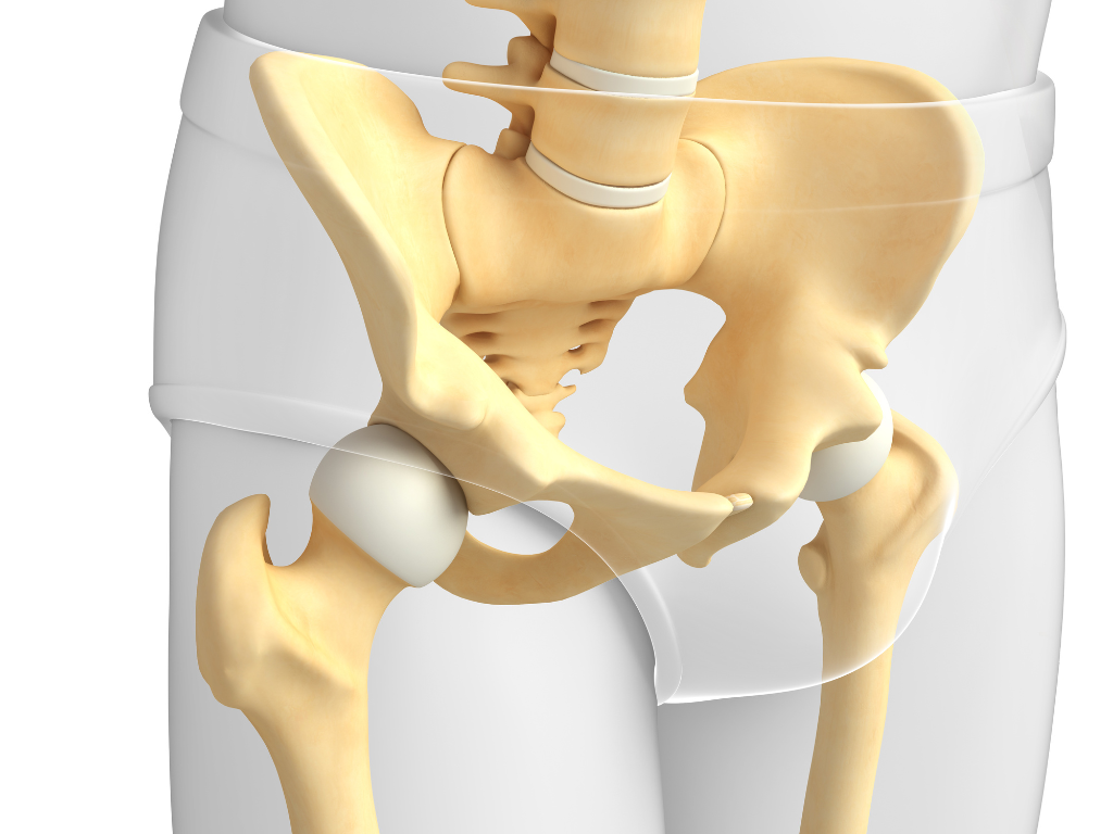 제목 없는 디자인-7.png