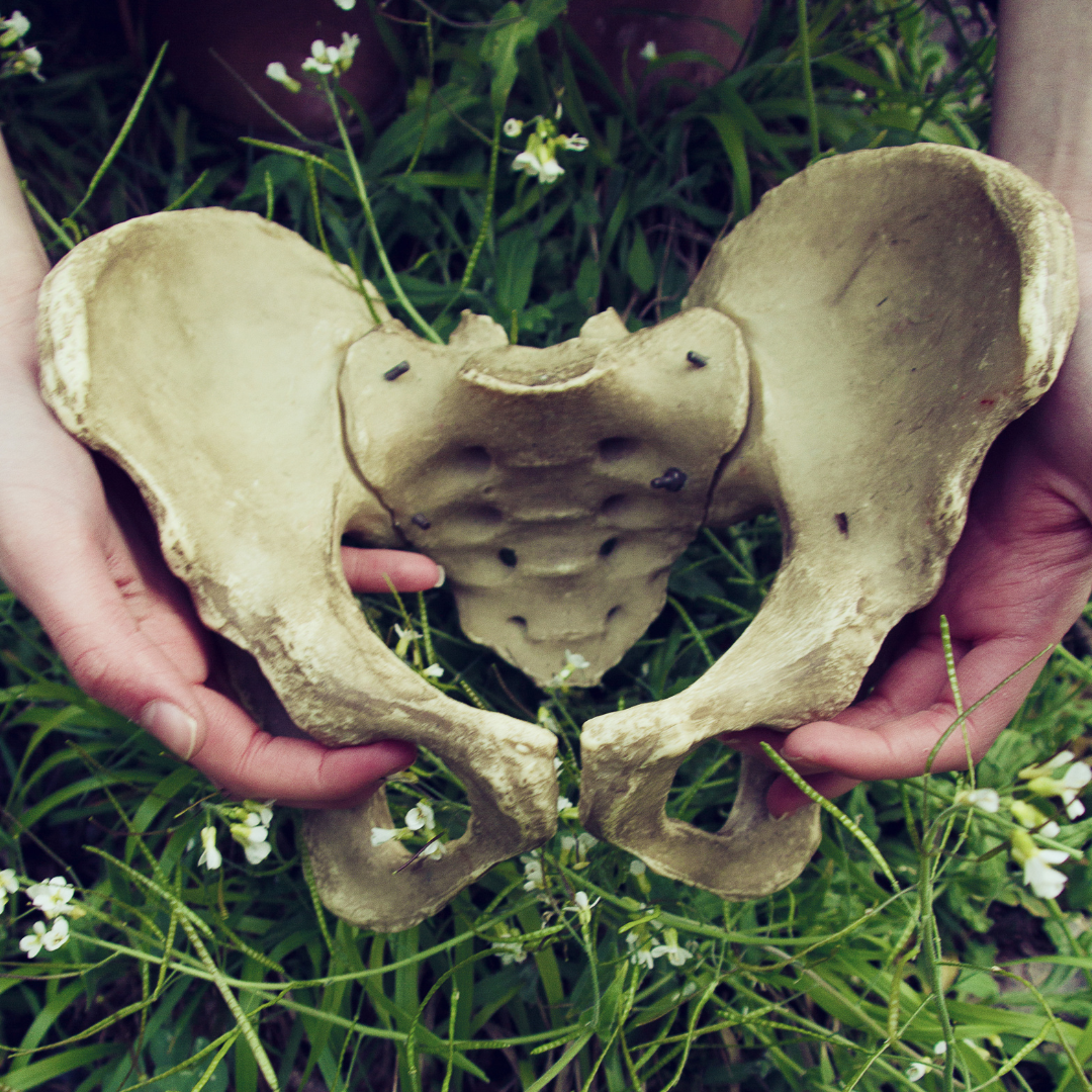 제목 없는 디자인-5.png