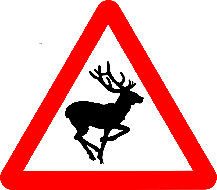 deer-48015_960_720.png