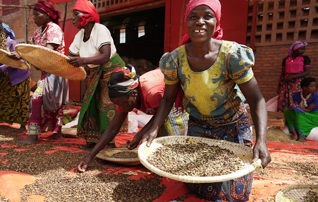 20231220 1킬로커피.png