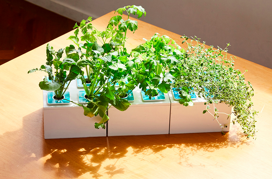 스크린샷 2018-11-18 오전 10.22.56.png