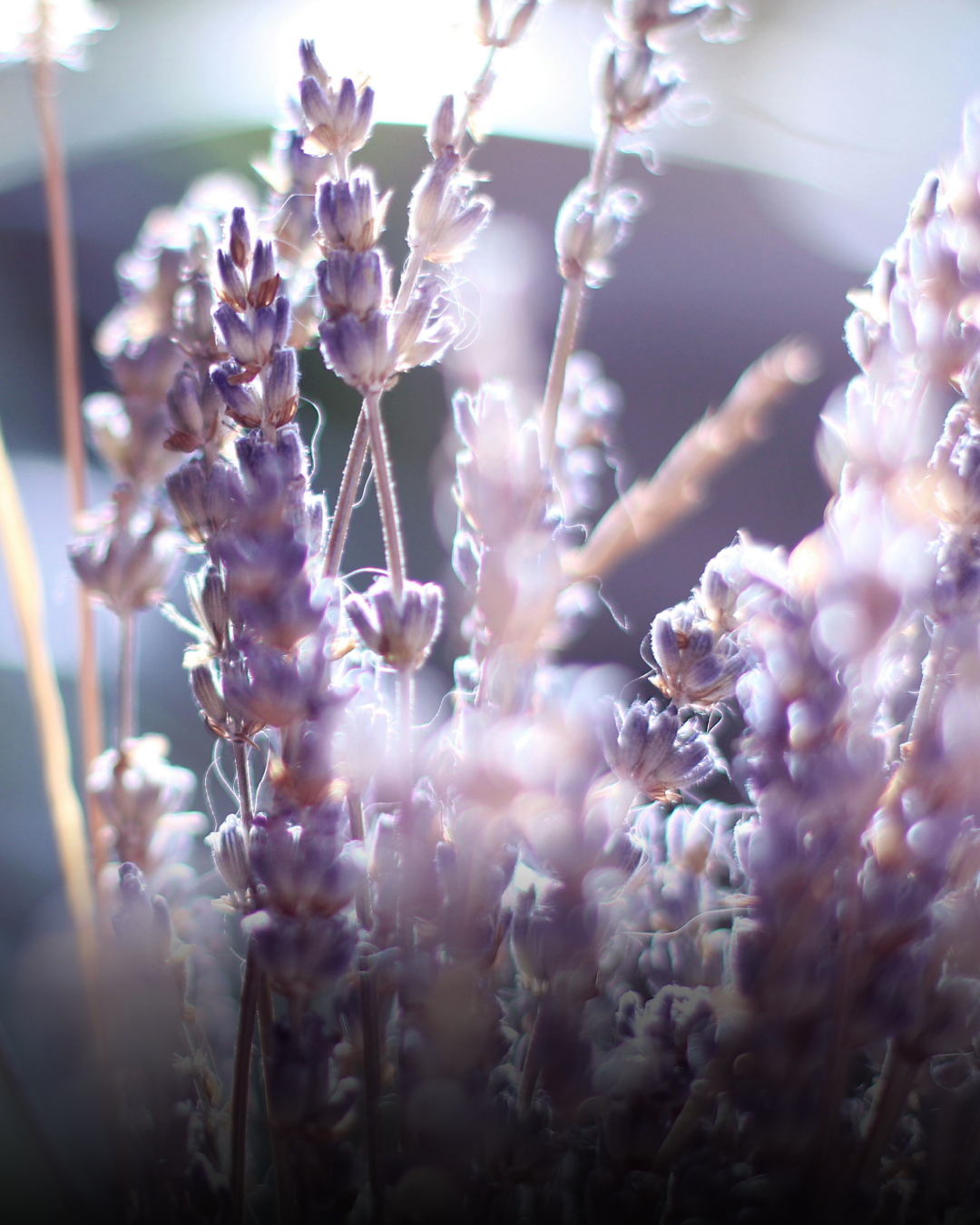 향미 노트04.png