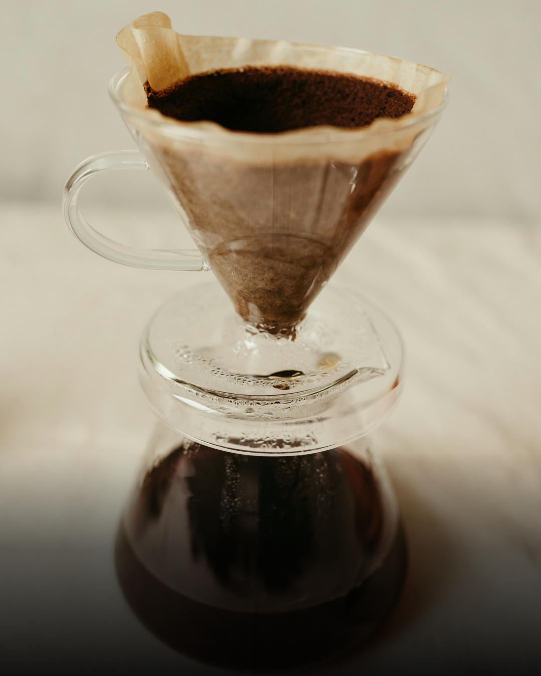 산지별 원두06.png