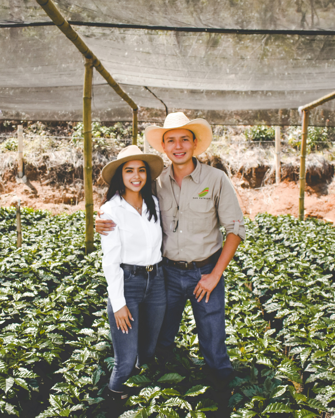 산지별 원두06.png