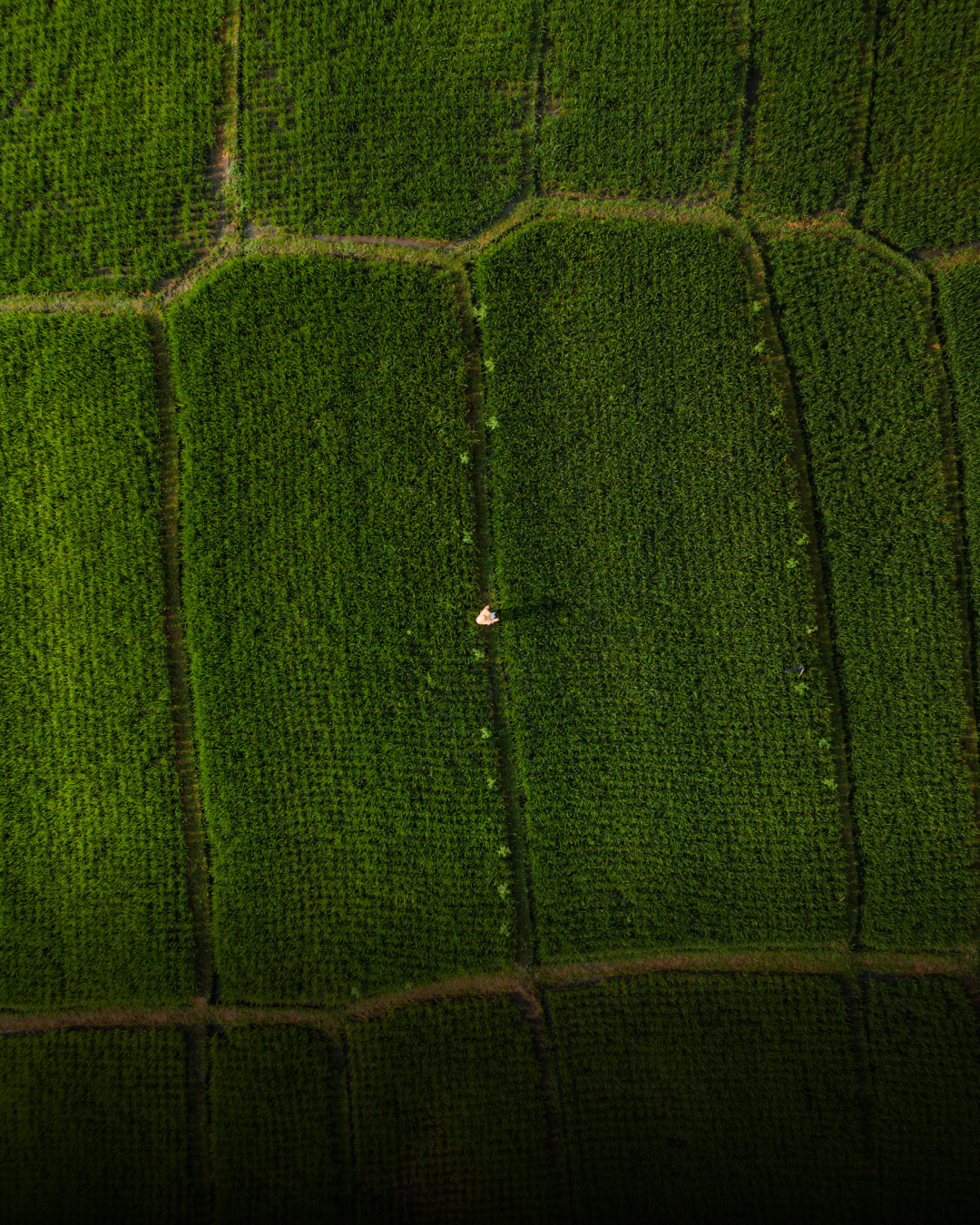 산지별 원두03.png