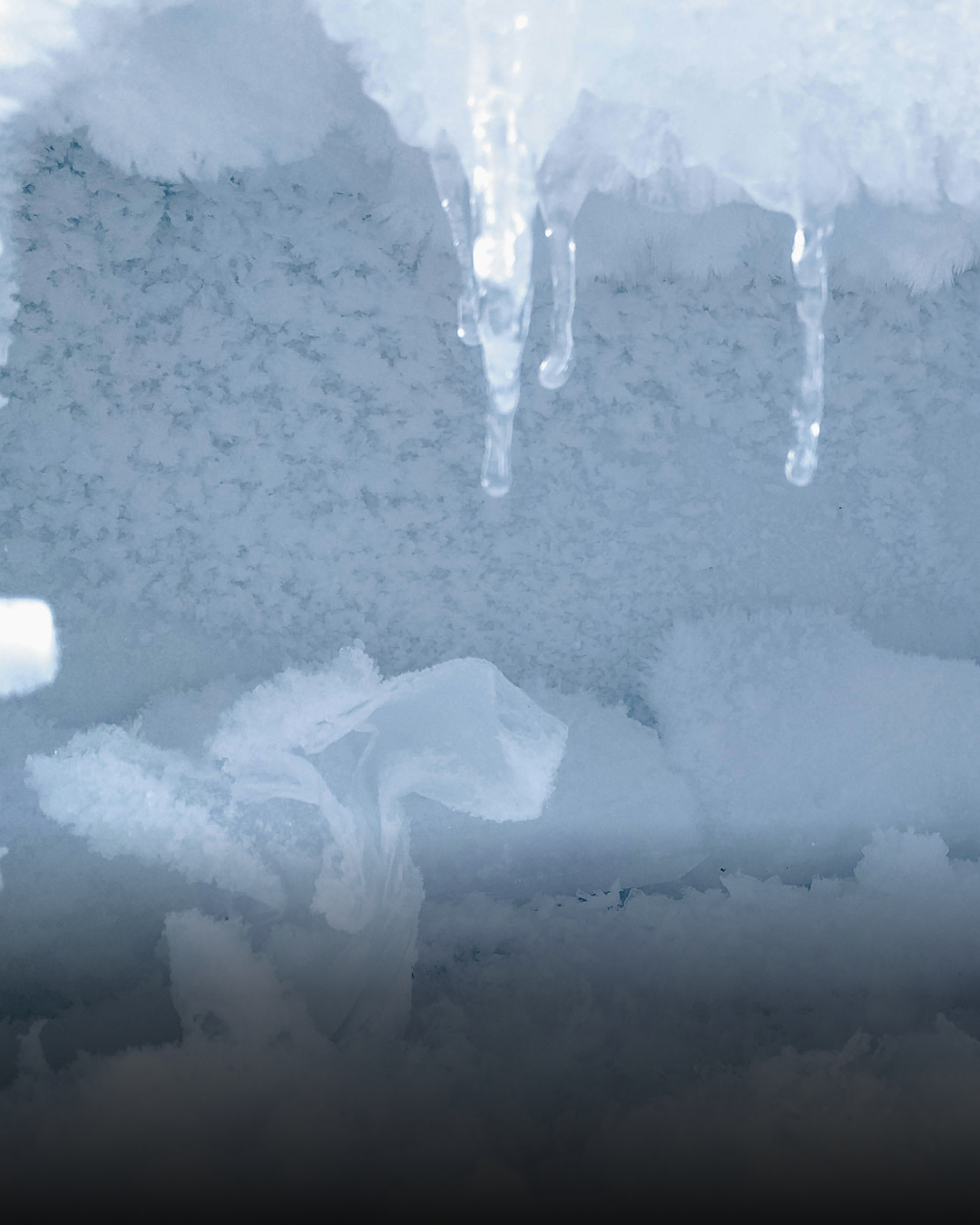 커피 보관05.png