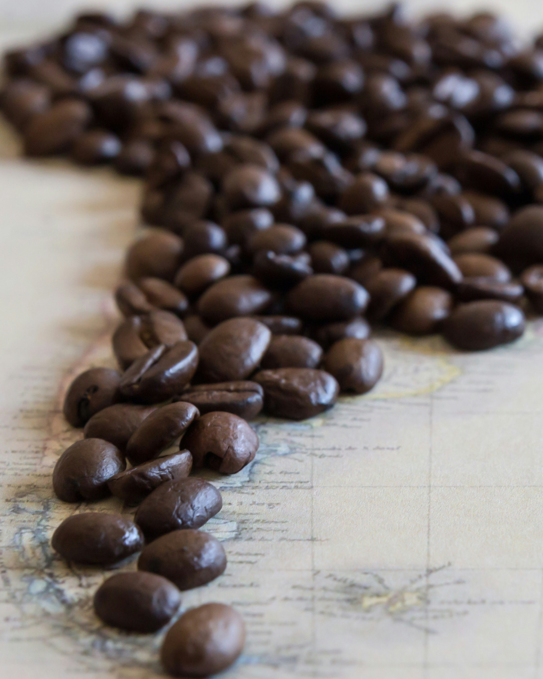 산지별 원두04.png