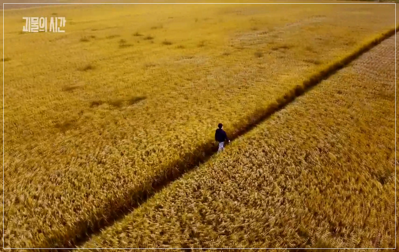 괴물의 시간.E01.251101.1080p.H264-F1RST.mp4_20251125_144633.857.png