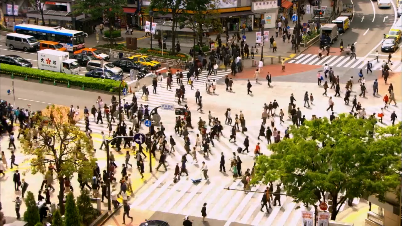 자위하려고 준비해둔 티슈로 흐르는 눈물을 닦고 있었습니다. _라라피포.mp4_20260107_144729.220.png