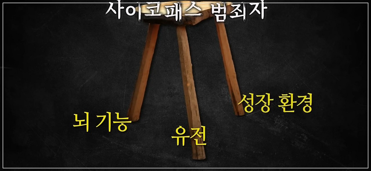 [#갓구운클립] 사이코패스를 분석하다 자신이 사이코패스인 걸 안 뇌과학자..� 사이코패스에게는 공격성을 가진 '전사 유전자'가 있다- - #알쓸인잡.mp4_20251115_124123.459.png