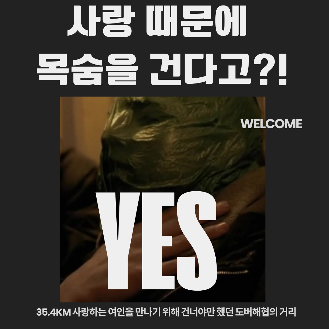 제목 없는 디자인.png