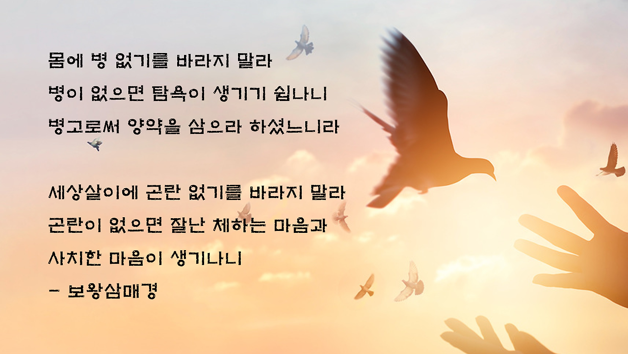 보왕삼매경233.png