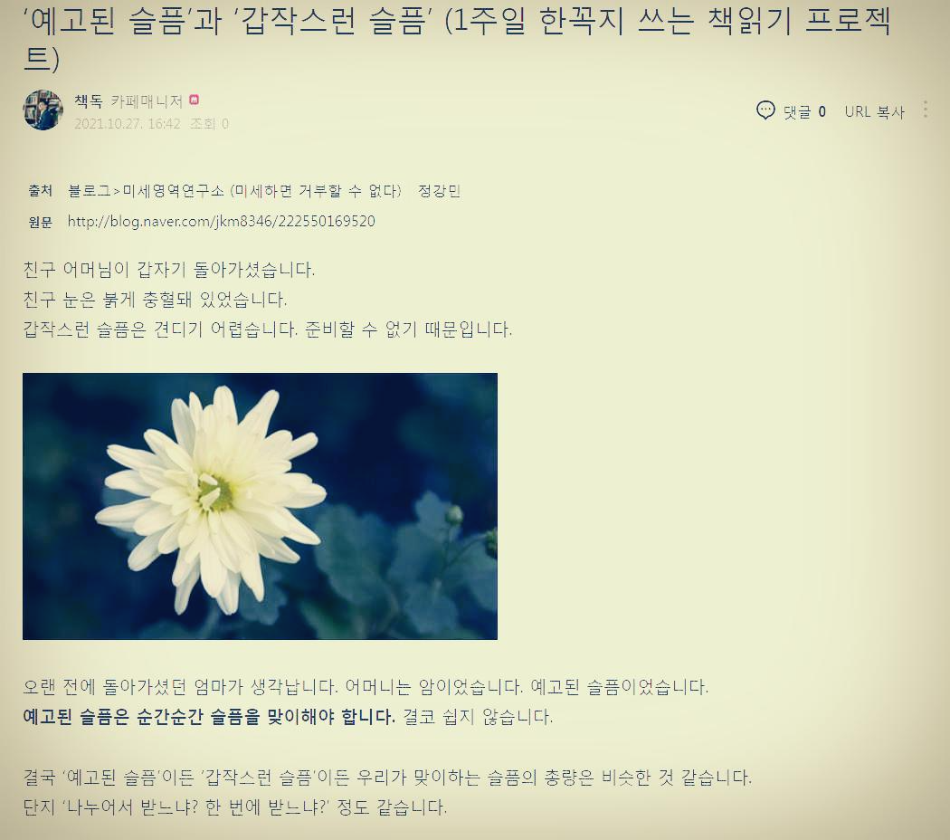 예고된 슬픔11.png