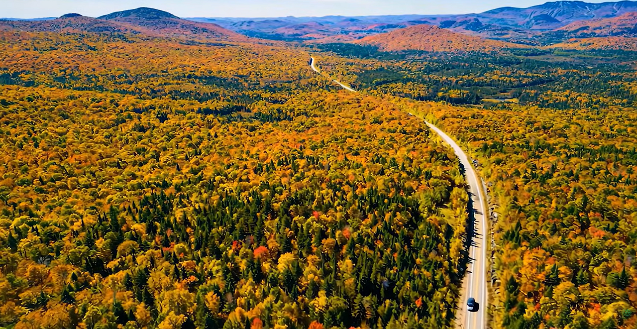 니체의 독자2.png