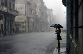 비오는 날357.png