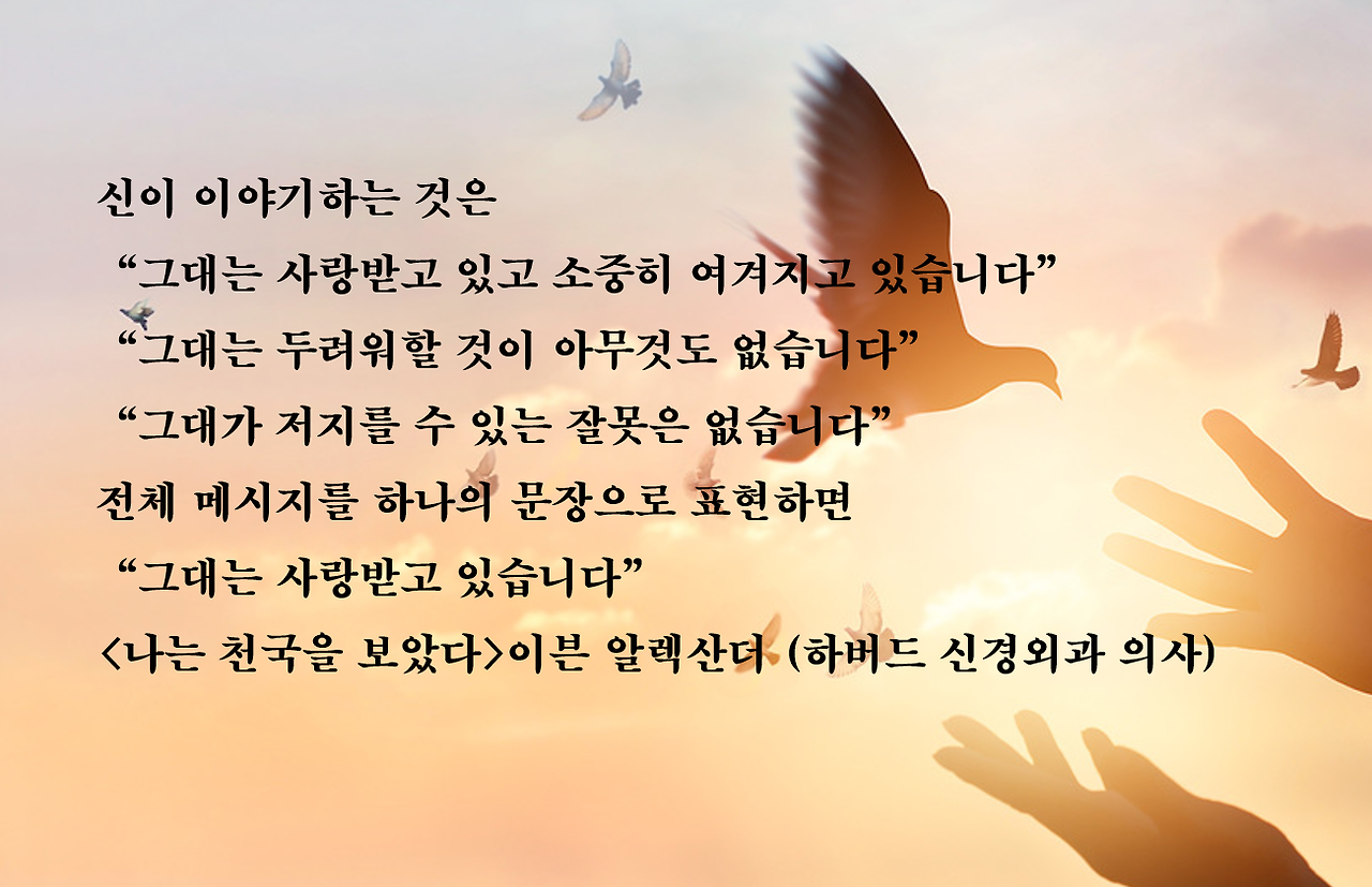 나는 천국을 보았다23.png