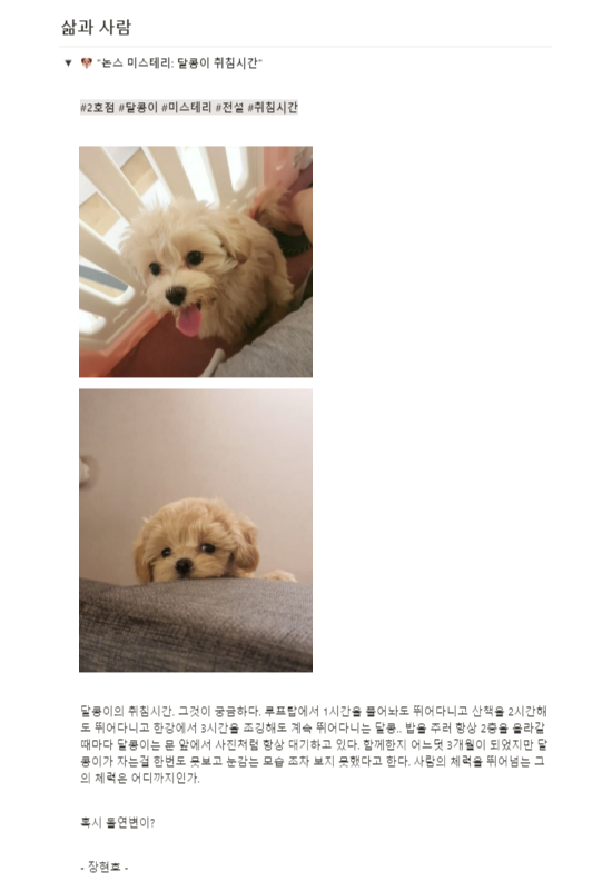 FireShot Capture 028 - 7월자 논스 뉴스레터 - www.notion.so.png