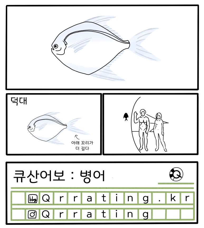 병어.png