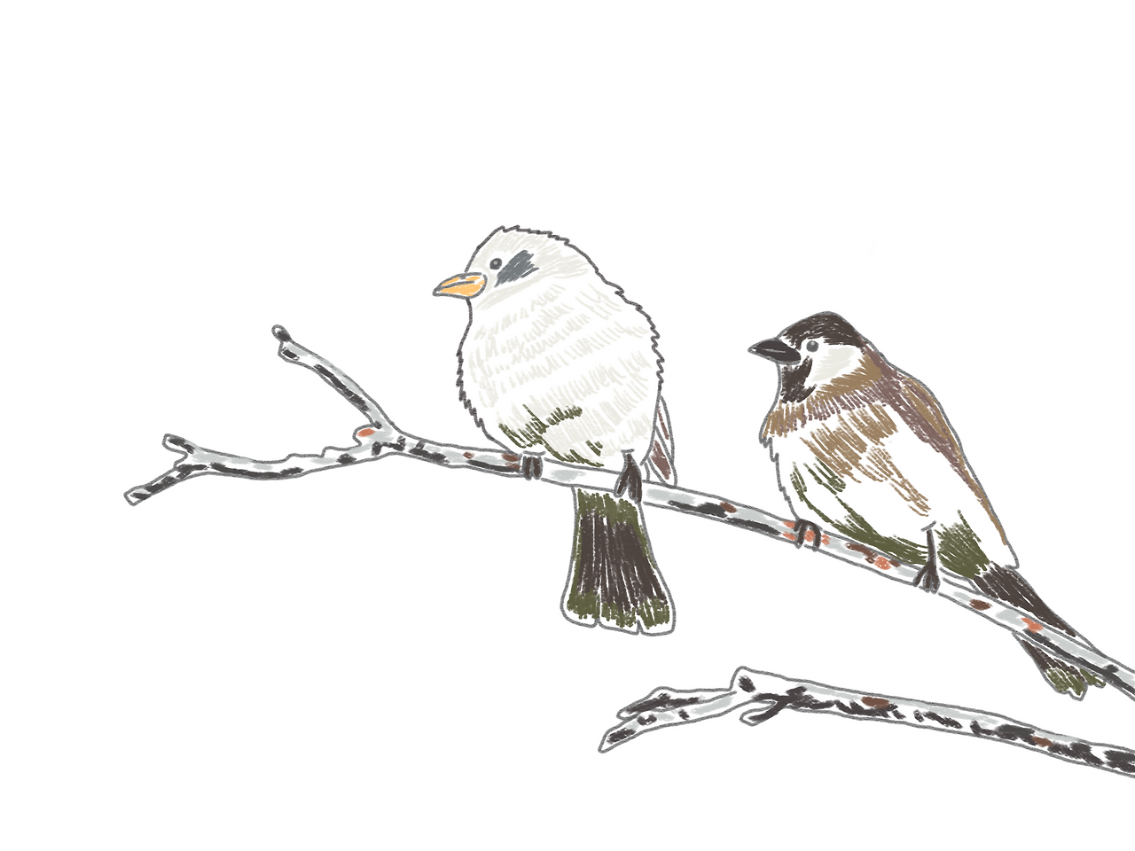 F21ED189-F7EC-45D6-9D15-F50D674B46E5 1.png