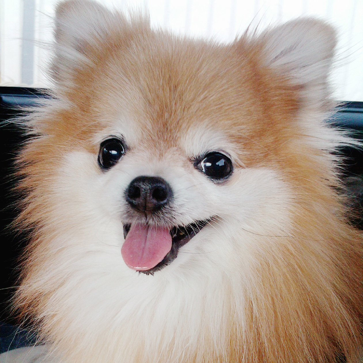 스크린샷 2020-03-20 오후 7.38.50.png