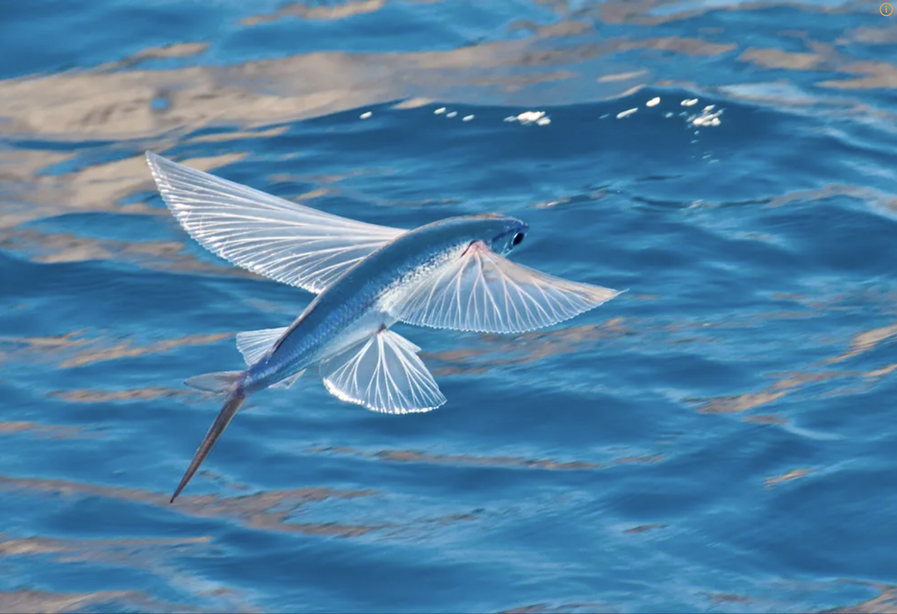 스크린샷 2025-01-03 오후 10.58.40.png