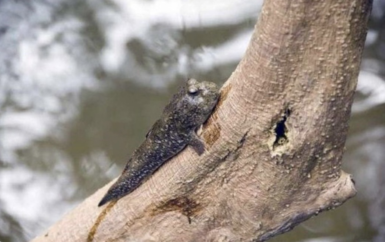 스크린샷 2025-01-03 오후 10.57.04.png