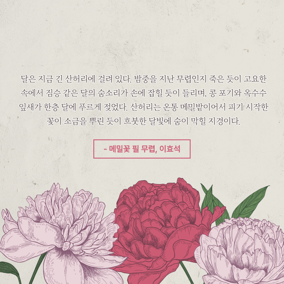 제목을-입력해주세요_-001 (59).png