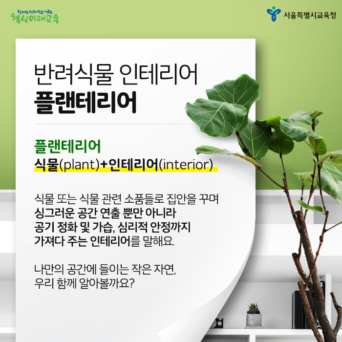 20200713_플랜테리어_02.png