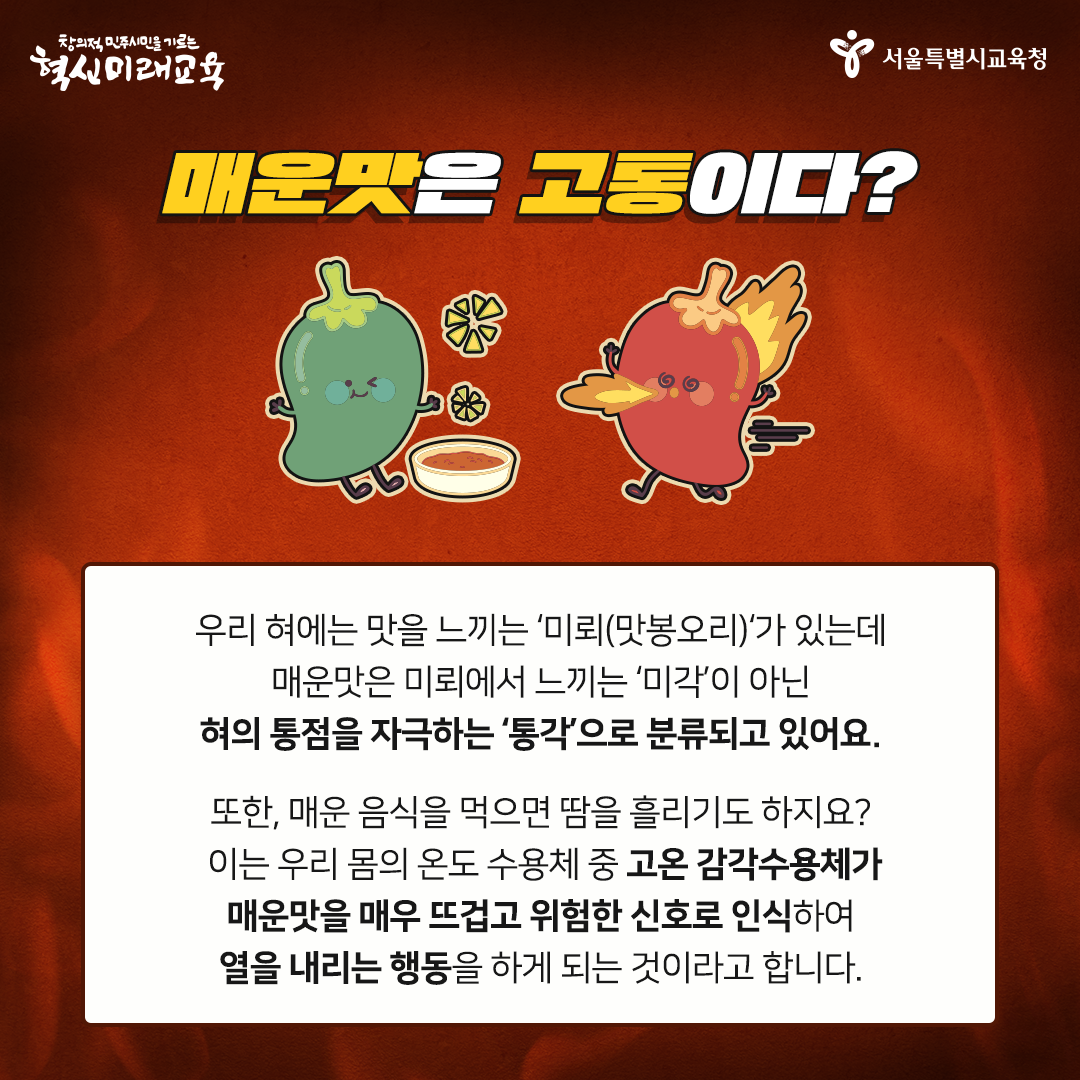 20200915_매운맛_03.png