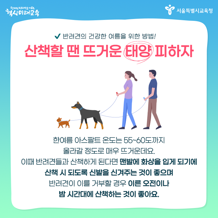 20200702_여름철반려동물_05.png