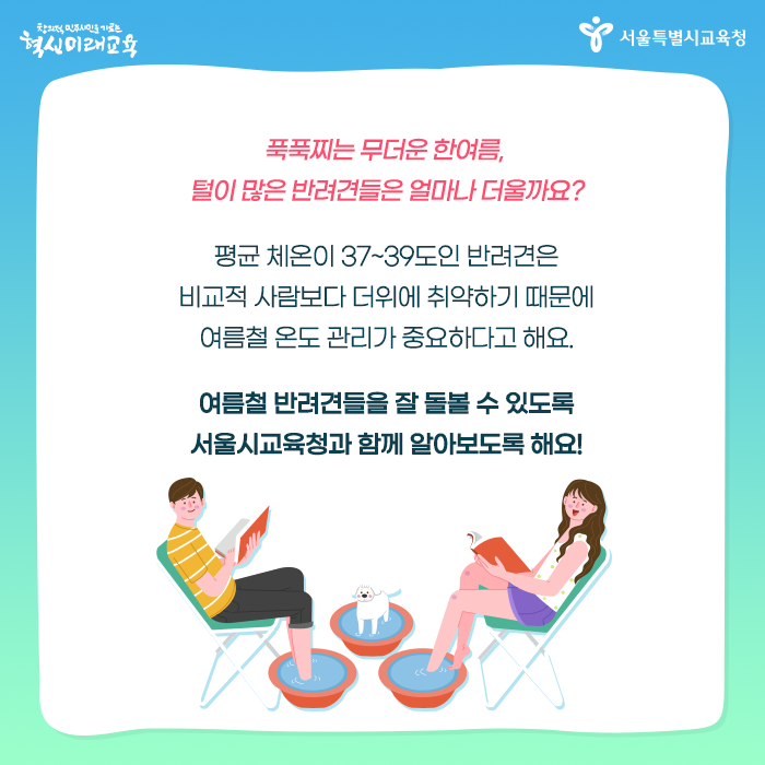 20200702_여름철반려동물_02.png